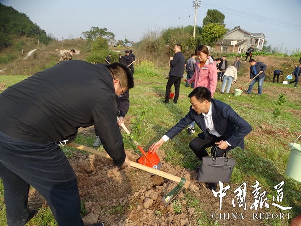 重庆市丰都县开展植树造林助力乡村振兴